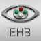 Eye Handbook