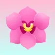 Lucky Florist