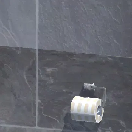 HitTheToilet Screenshots