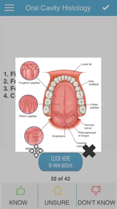Ảnh chụp màn hình của Anatomy & Histology Cram Cards