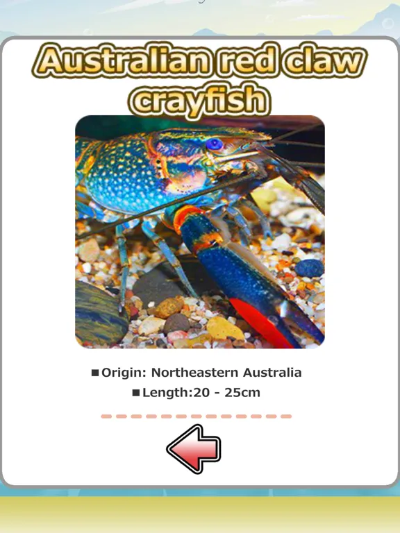 Tangkapan layar Crayfish fishing iPad 