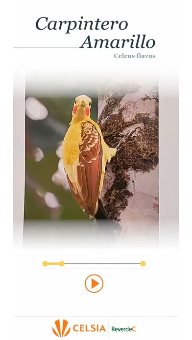 Capturas de tela do Naturaleza y asombro