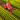 Cut the Grass - Cutting Grass