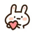 Cute Little Bunny