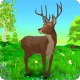 Deer Simulator