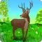 Deer Simulator