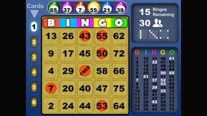 Скриншоты Bingo Fun Blast HD Lucky cards