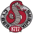 Cyber Vipers FRC 2023 Scouting Cyber Vipers FRC 2023 Scouting