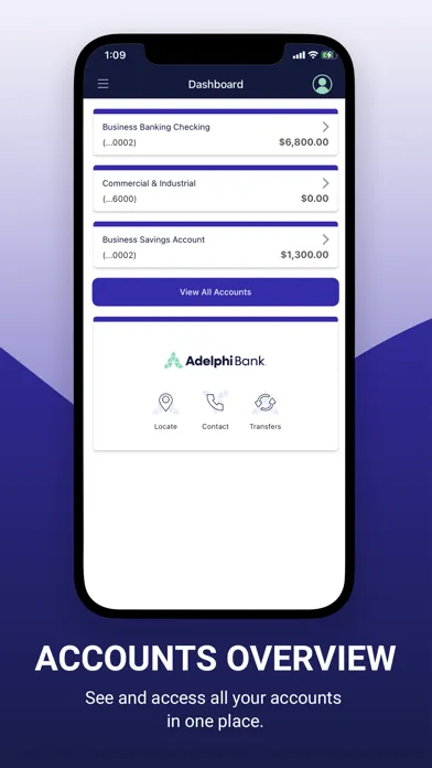 Adelphi Bank Business Screenshots