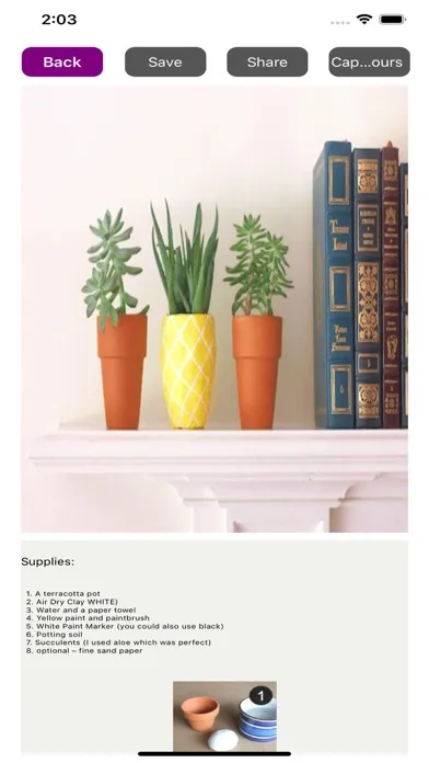 Capturas de tela do DIY Project Home Decoration