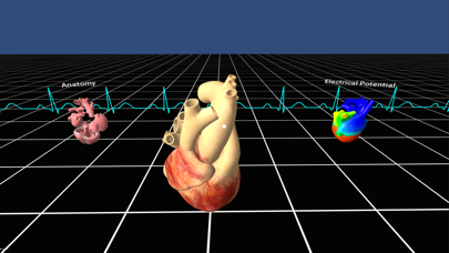 Скриншоты Living Heart for Cardboard VR
