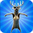 OMG Deer! Hide And Seek OMG Deer! Hide And Seek