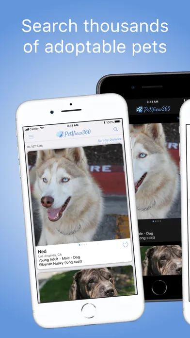 Tangkapan layar PetView360: Find & Adopt a Pet