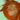 The Lion: Forest King Adventur