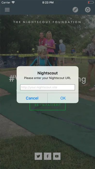 Скриншоты Nightscout X