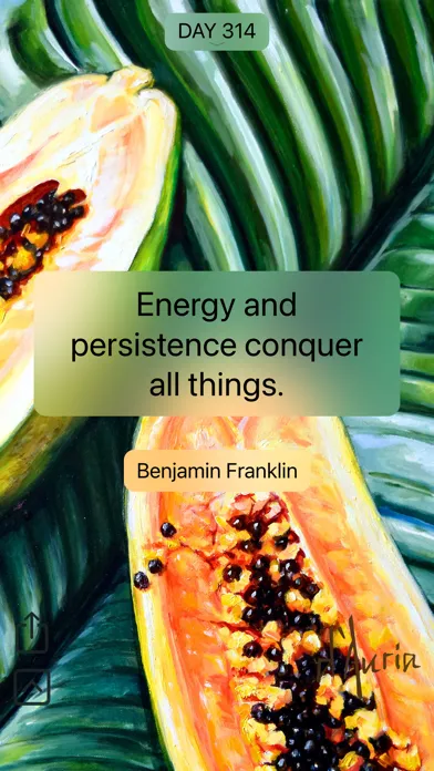 Positive Quotes - +Quotes Screenshots