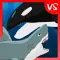 Shark Fights Killer Whale