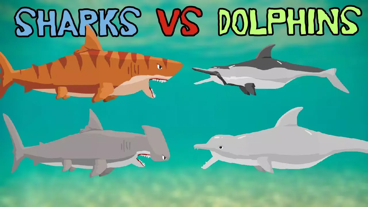 Shark Fights Killer Whale Screenshots