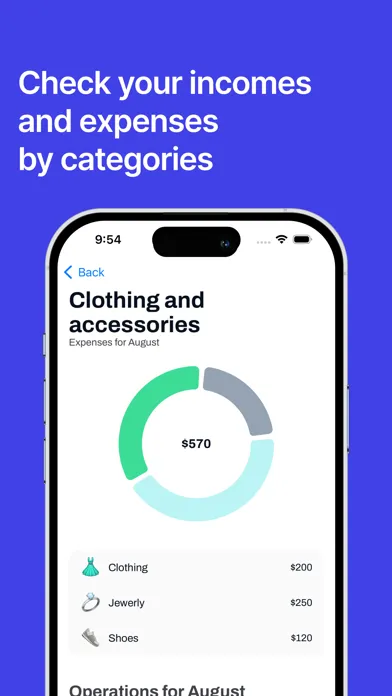 Expense - budget manager应用截图