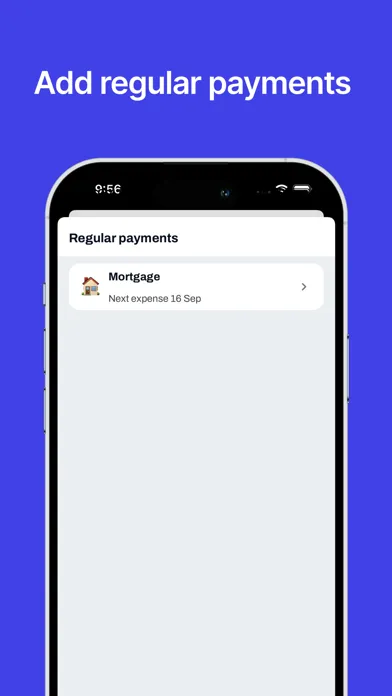 Expense - budget manager应用截图
