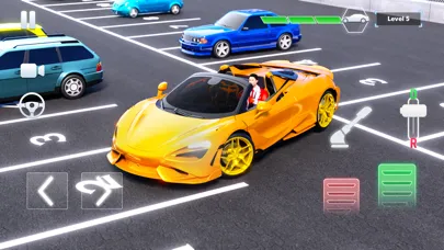 صور Valet Parking Master