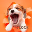 Dog Clock app.digital cute Dog Clock app.digital cute