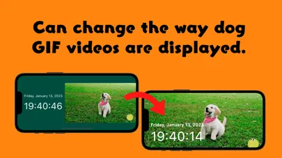 Dog Clock app.digital cute應用截圖