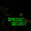 SpringSecret