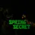 SpringSecret