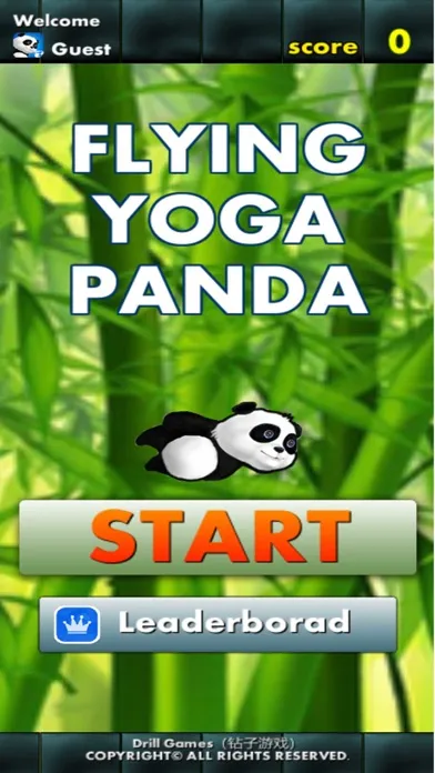صور Flappy Yoga Panda