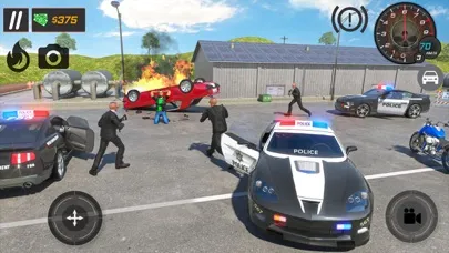 Police Chase Car Driving 3D应用截图