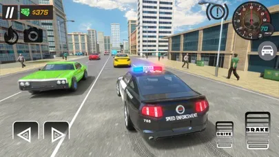 Police Chase Car Driving 3D应用截图