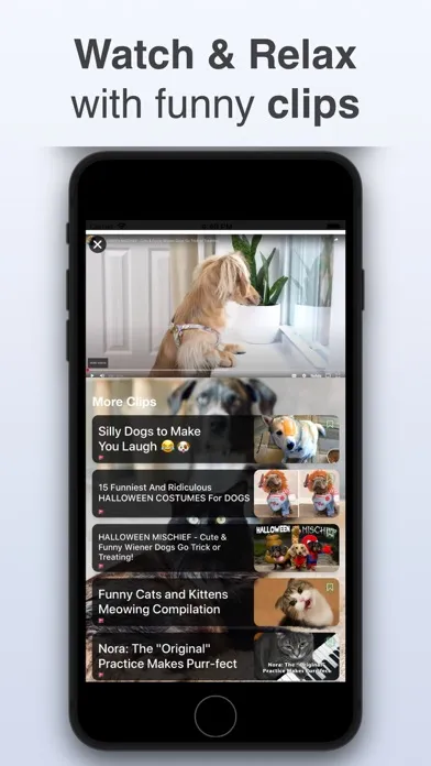 Capturas de pantalla de Dog & Cat Translator: Pet Chat