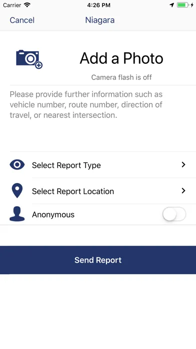 Screenshot di NFTA See Say