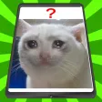 Memes Runner