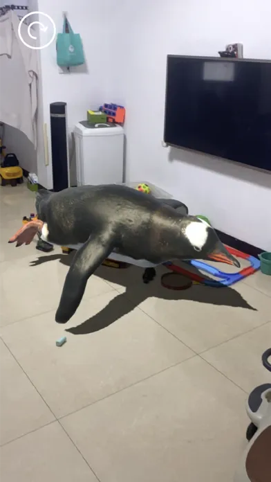 AR 水族馆 Screenshots
