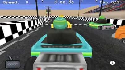 صور Go Kart Park