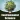 Enviromental Science Books