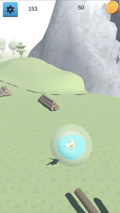Zorbing 3D Ekran Görüntüleri