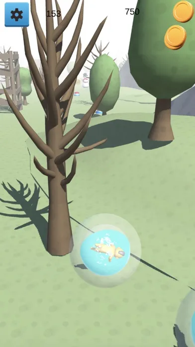 Zorbing 3D Ekran Görüntüleri