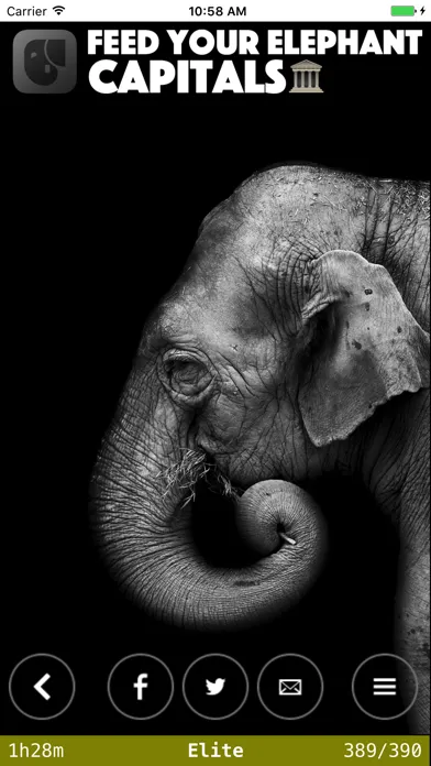 Feed Your Elephant Capitals स्क्रीनशॉट