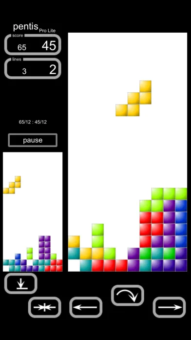Pentis Pro Lite 스크린샷
