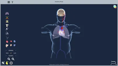 Screenshot di Epicardio Heart Simulator