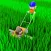 Grass Master: Lawn Mowing 3D