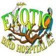 Exotic Bird Hospital Inc.