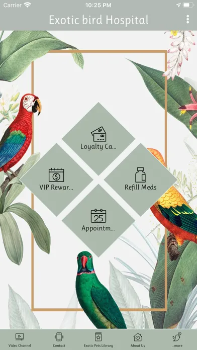 Tangkapan skrin Exotic Bird Hospital Inc.