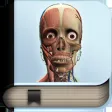 Explain 3D: Human body Explain 3D: Human body