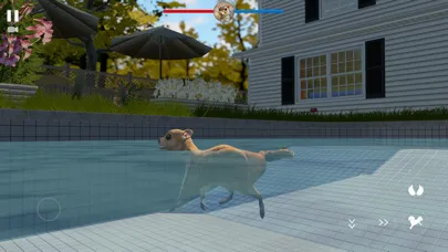 Flying Squirrel Simulator Game سکرین شاٹس