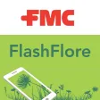 FlashFlore