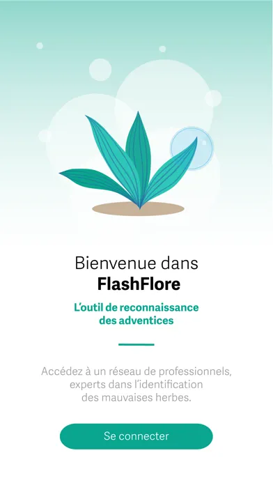 Tangkapan skrin FlashFlore